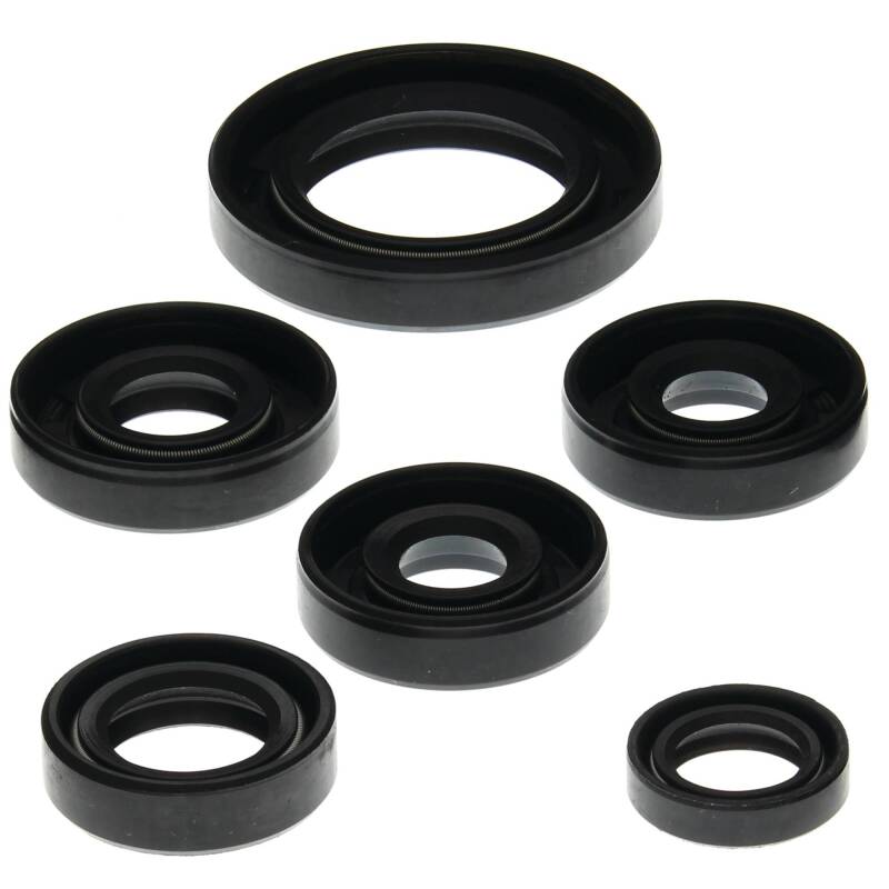 Can-Am DS650 Engine Oil Seal Kit - Vertex Pistons - `00-`07